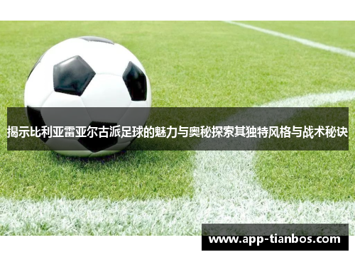 揭示比利亚雷亚尔古派足球的魅力与奥秘探索其独特风格与战术秘诀